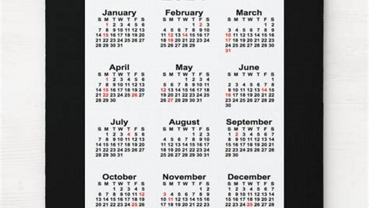 2024 Calendar Zazzle Saloni