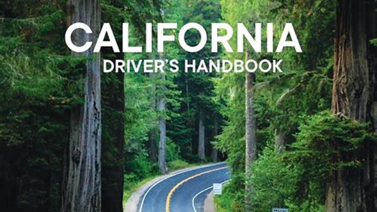 2024 California Dmv Handbook