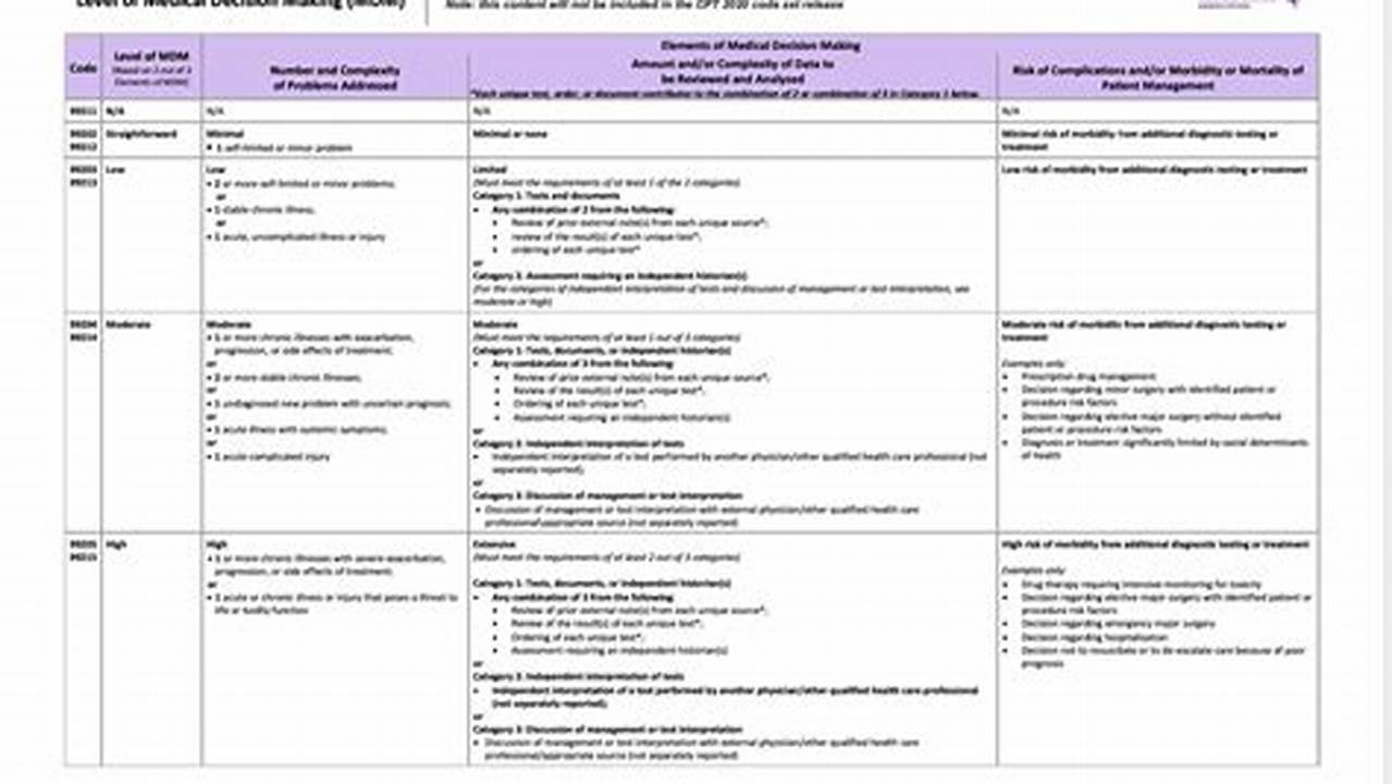 2024 E/M Coding Guidelines