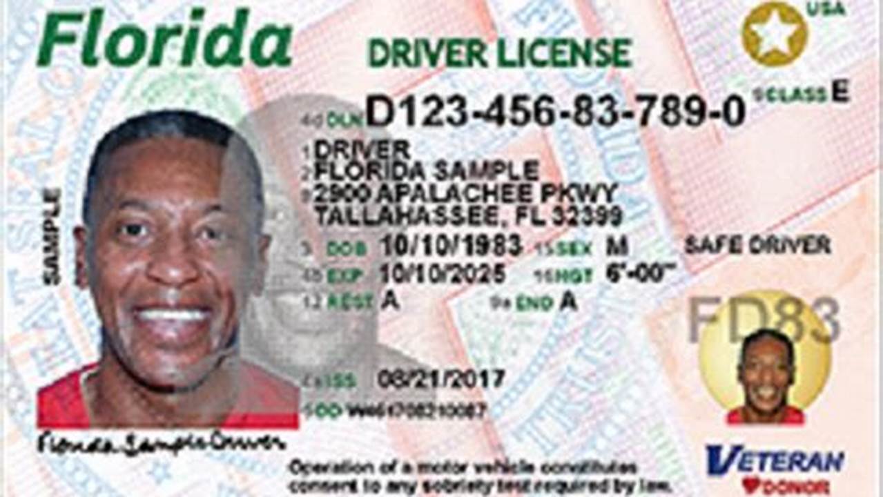 2024 Florida Drivers License