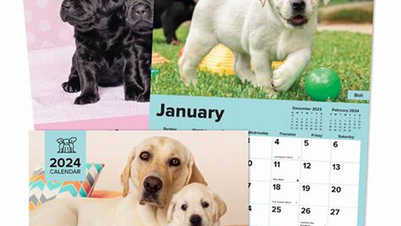 2024 Guide Dogs Calendar (A4 Size) $ 19.95 $ 10.00 Add To Cart., 2024