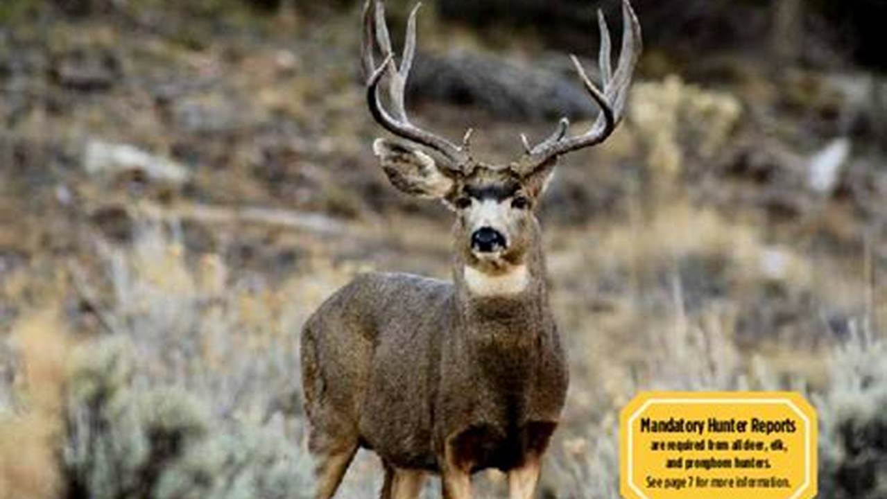 2024 Idaho Big Game Regulations