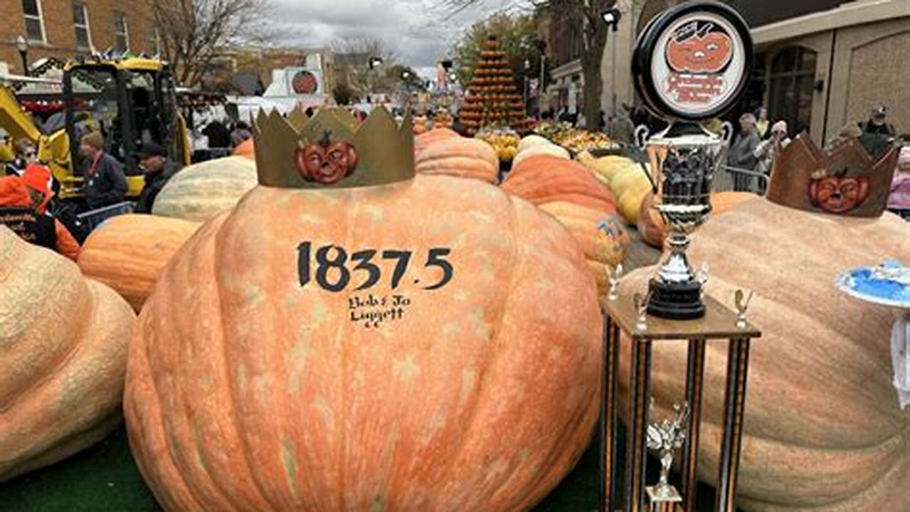 2024 Largest Pumpkin