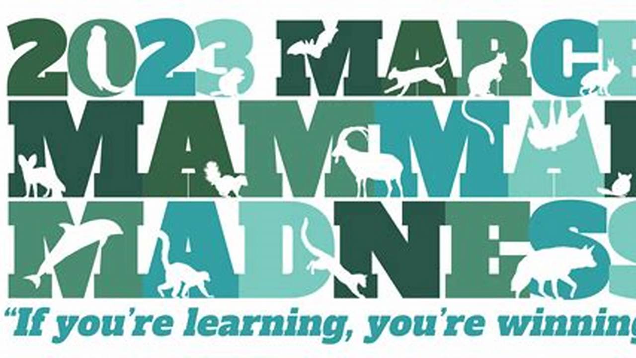 2024 March Mammal Madness Tournament Celebrates Animals, The Arts |., 2024