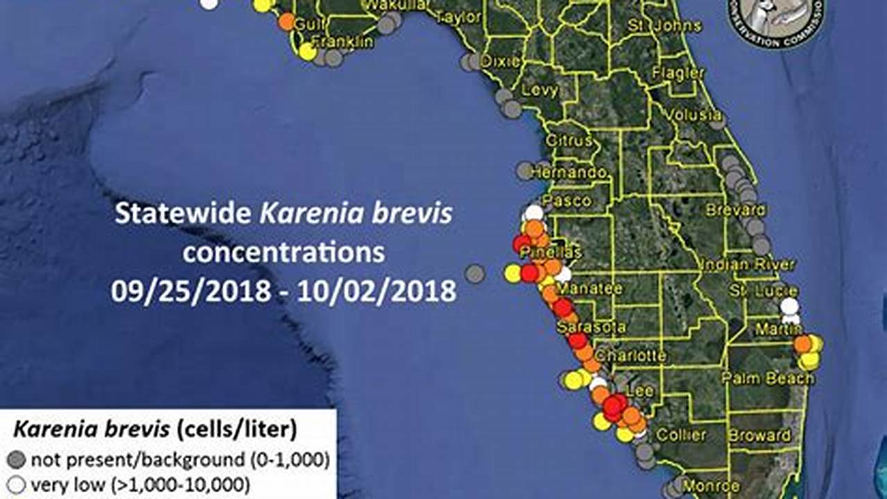 2024 Red Tide In Florida