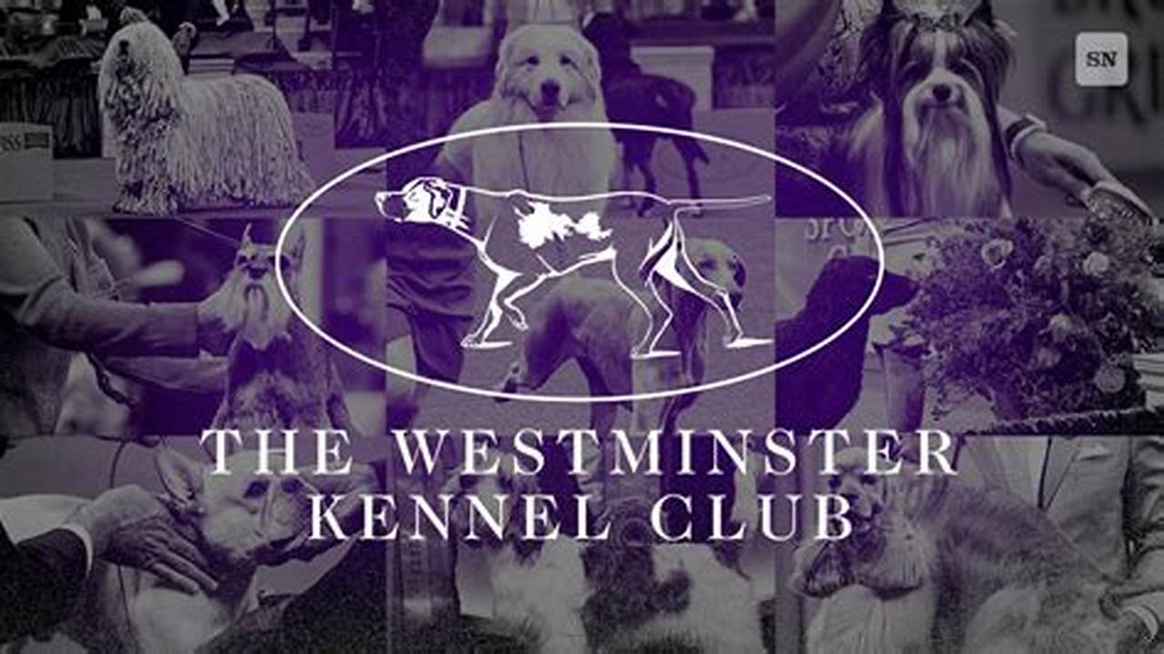 2024 Westminster Dog Show Dates And Times