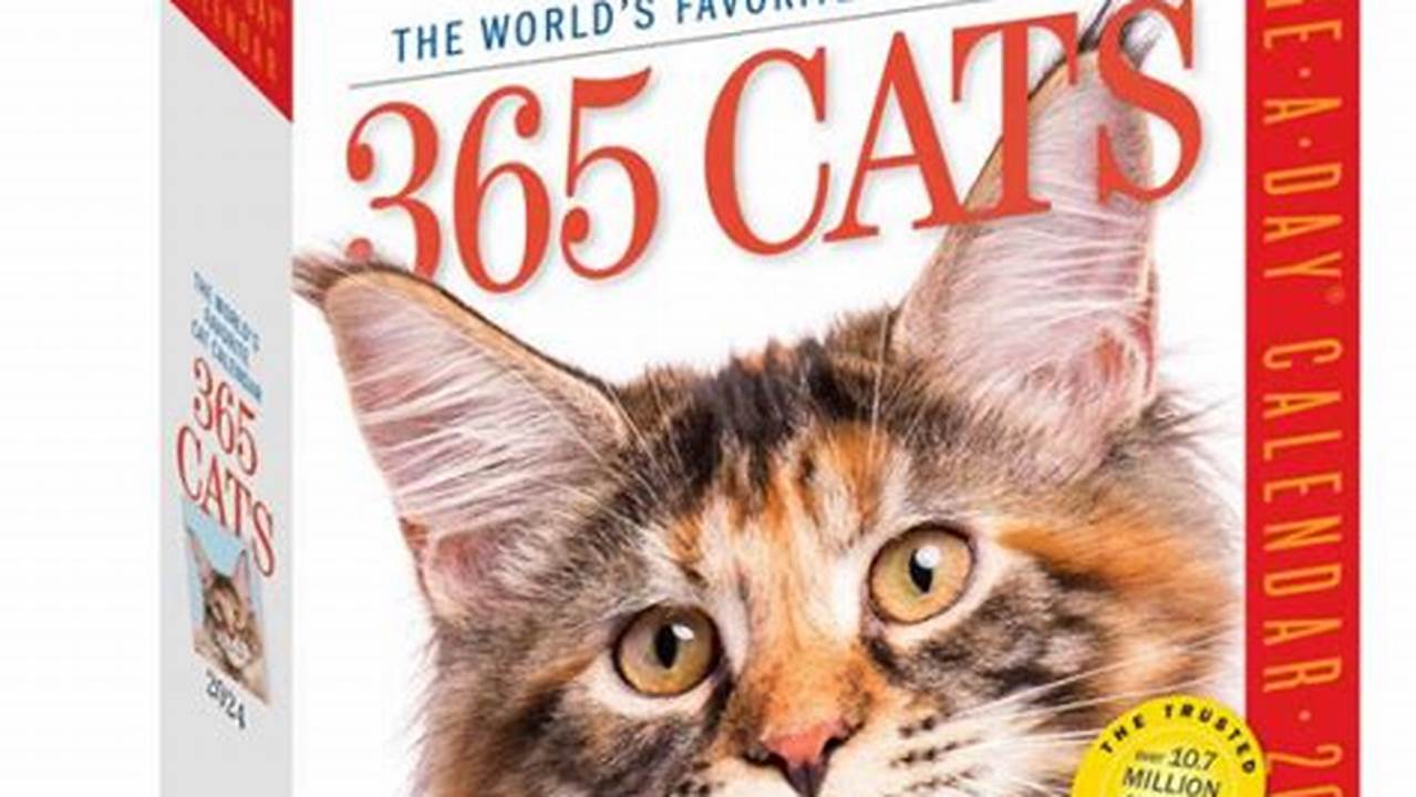 365 Cat Calendar 2024