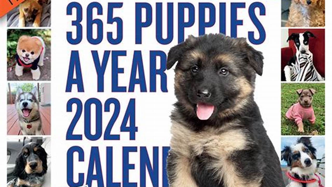 365 Puppies A Year Calendar 2024 Calendar 2024