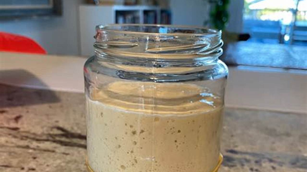 Unleash the Tang: Mastering the 3rd Day Sourdough Starter for a Flavorful Revolution
