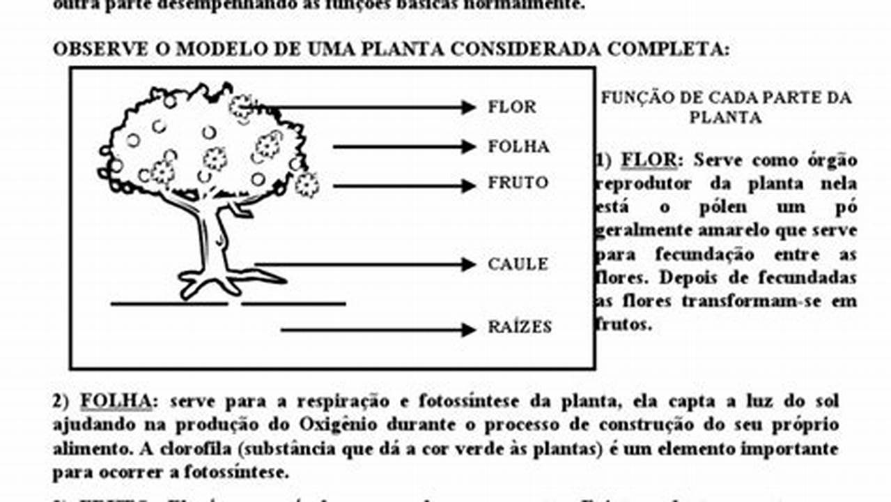 4. Visualize Sua Planta, Plantas