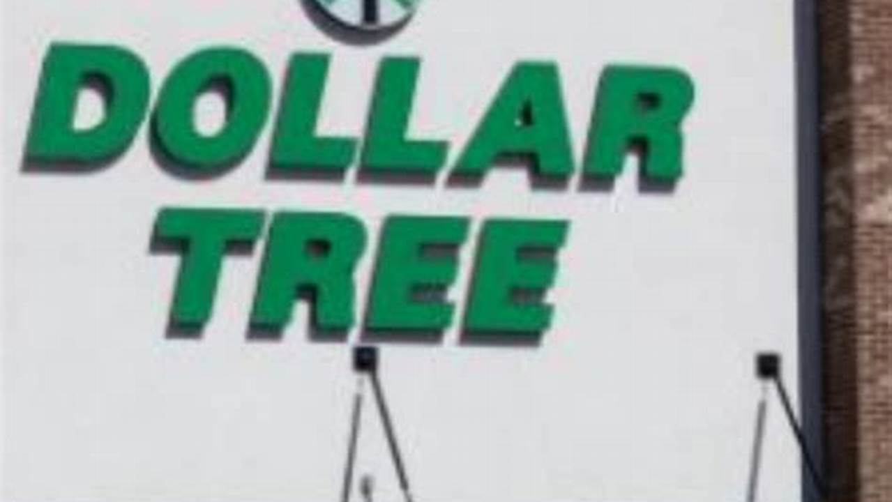 5 New Items Coming To Dollar Tree In 2024 That You Can Skip., 2024