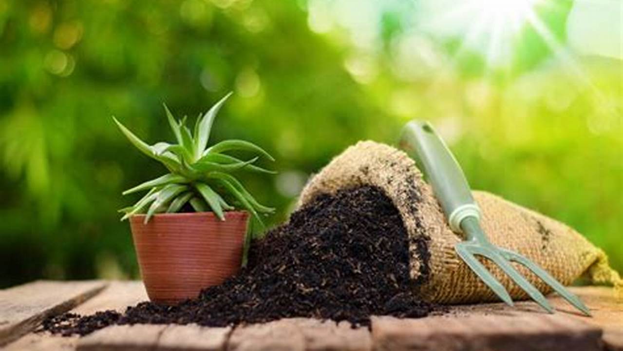 5. Fertilize Regularmente, Plantas