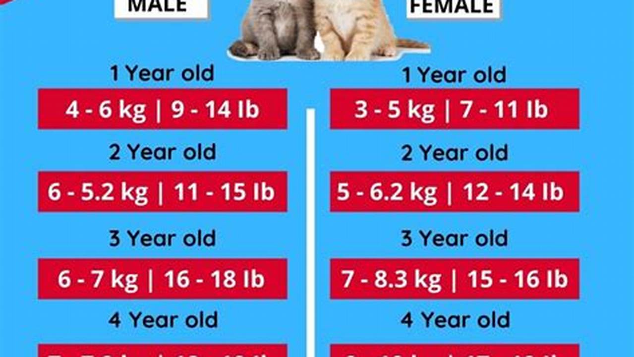 6-Month Cat Weight: Key Milestones for Batch 1 Growing Cats