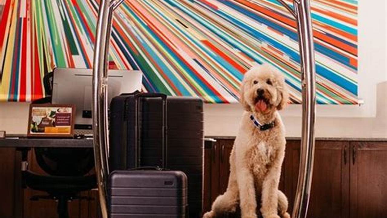 7. Pack Smart, Pet Friendly Hotel