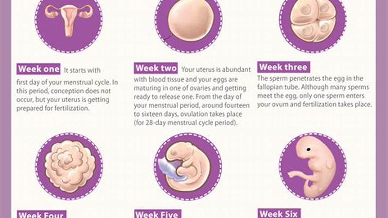 9 Weeks Pregnant Calendar