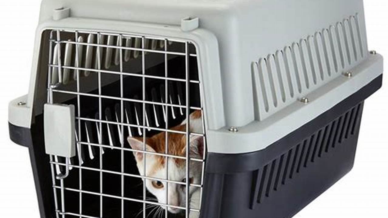 A Cat And A Dog Escape Their Cages In The Airport, And Their Owners Must Work Together To Recover Their Prized Pets., 2024