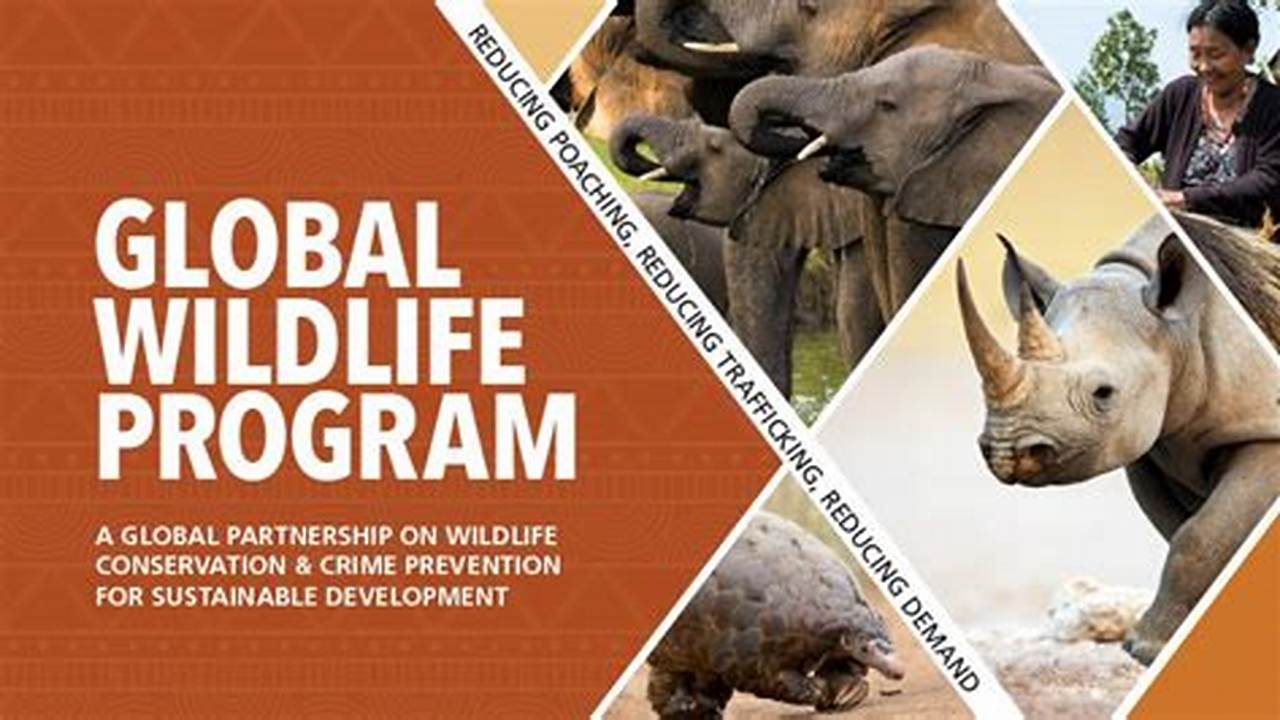 Accomplishments, Wildlife Conservation