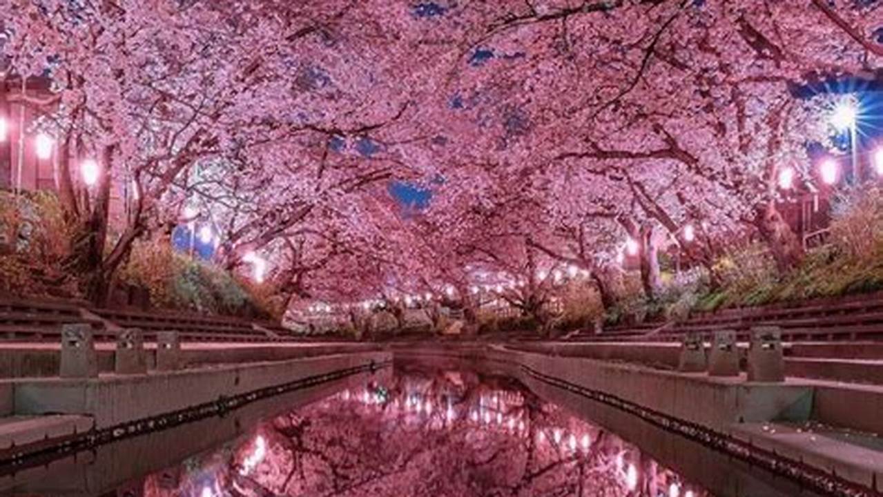 According To Park Lore, 1,000 Japanese Cherry Blossom Trees Were Given To The City As A Gift To Mayor Russell., 2024