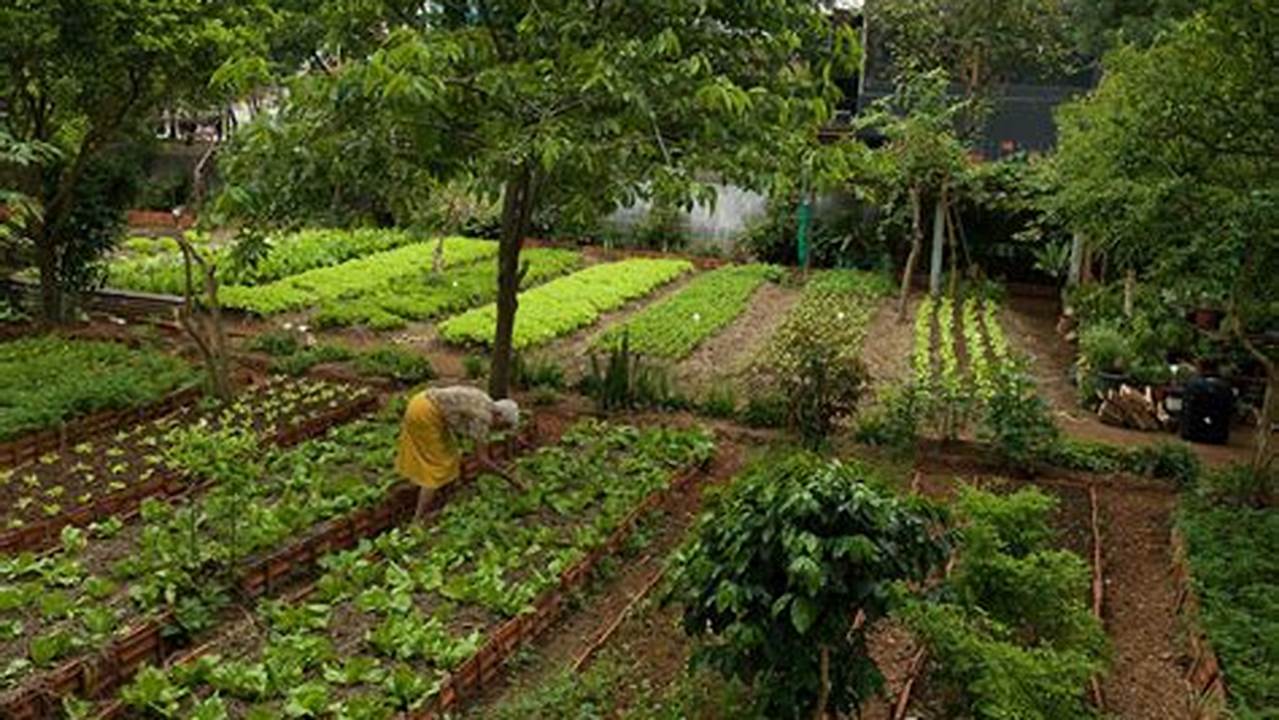 Agricoltura Sostenibile Sette Principi Per Un Nuovo Modello