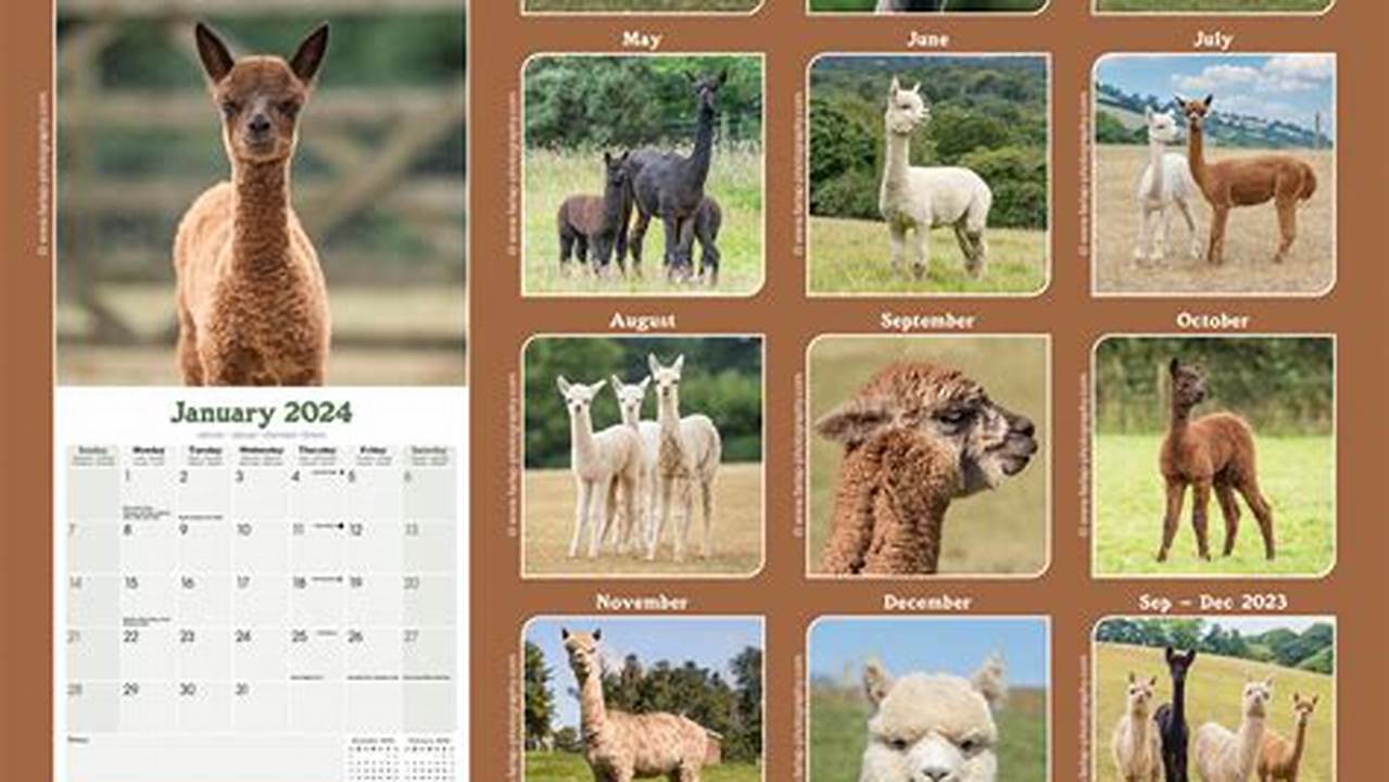 Alpaca 2024 Calendar Google