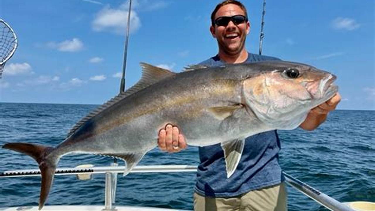 Amberjack Season Gulf Of Mexico 2024