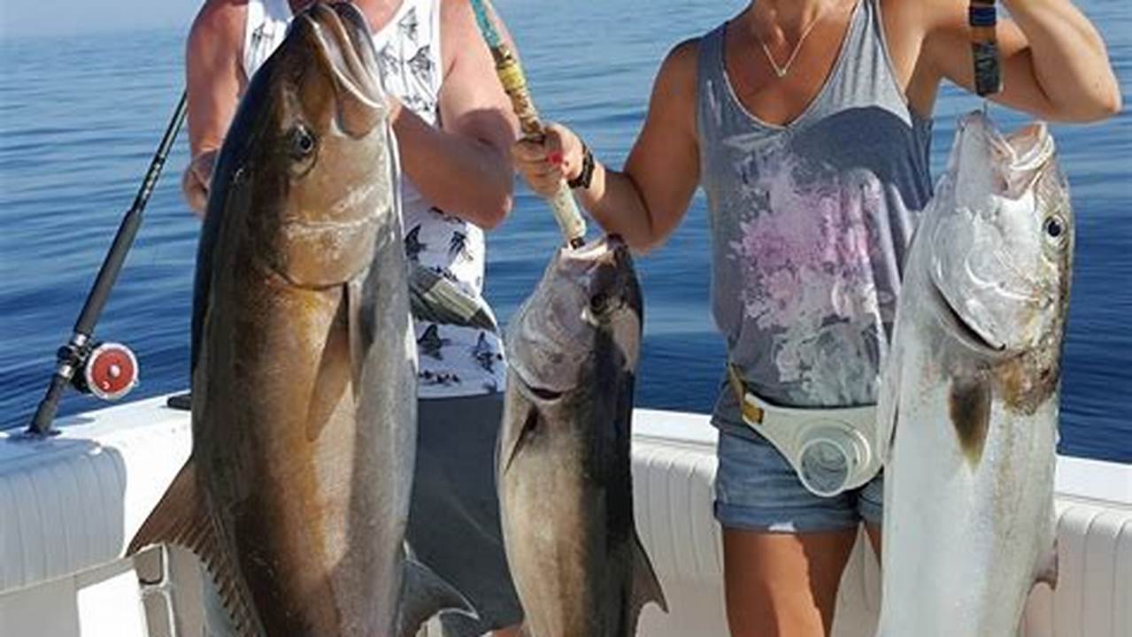 Amberjack Season Texas 2024