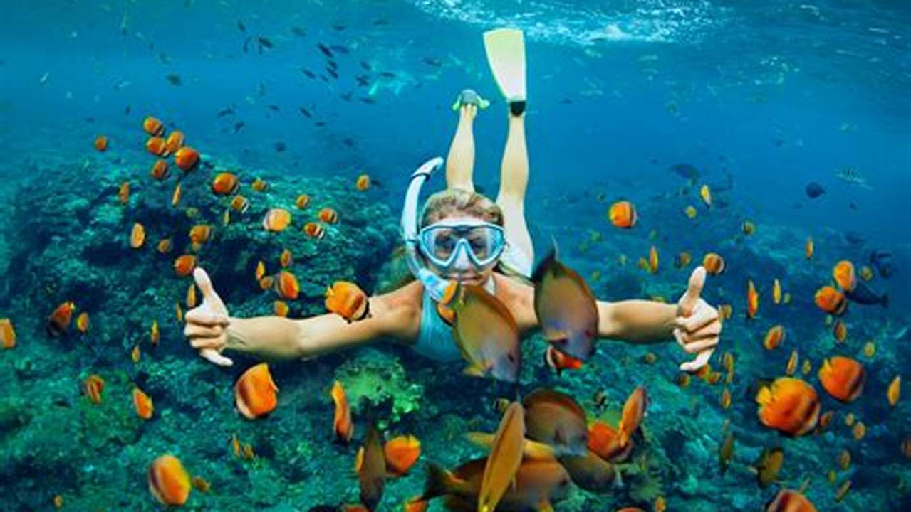 An Exciting &amp;Amp; Informative Coastal Snorkeling Adventure., Images