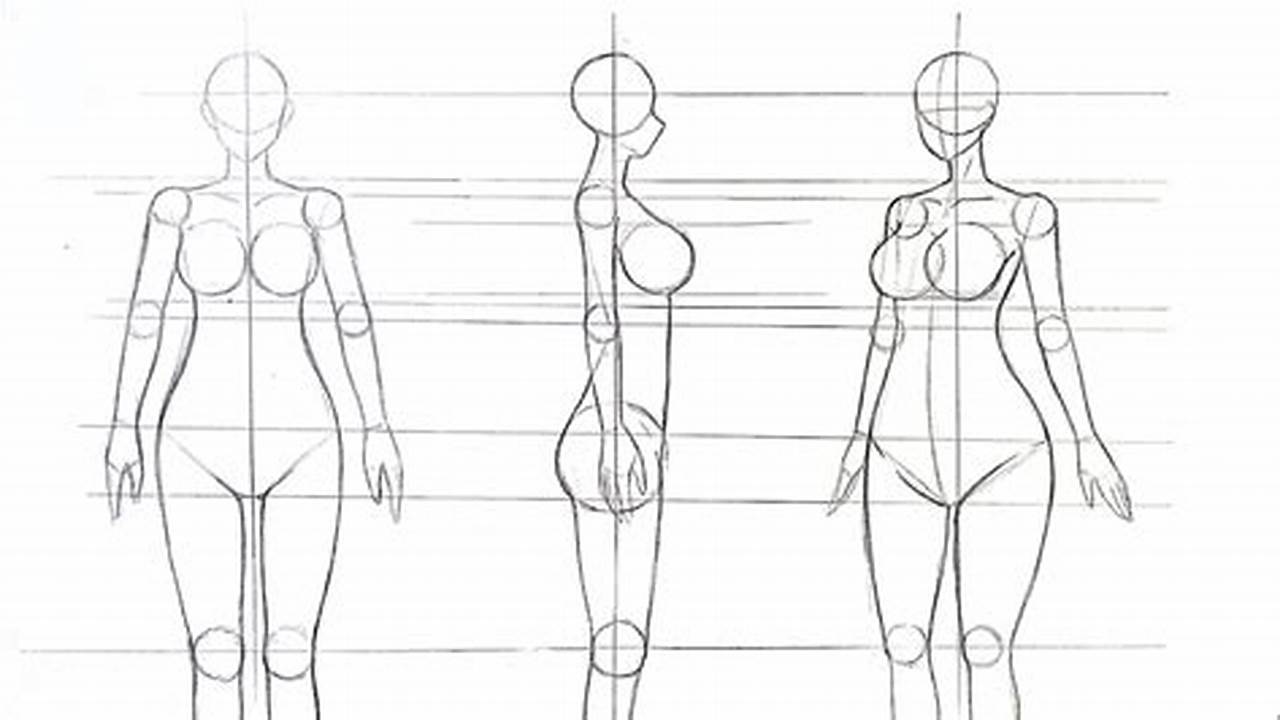 Anatomi Tubuh, Gambar Anime