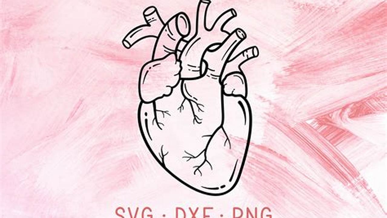 Anatomical Reference, Free SVG Cut Files