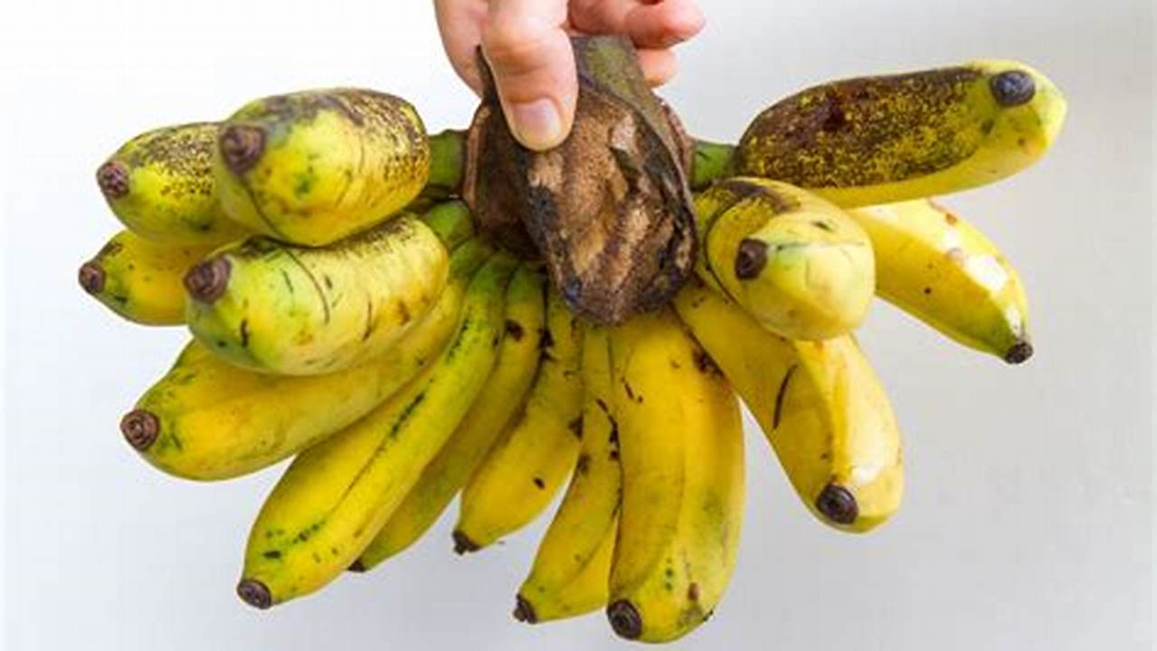 Are Bananas Going Extinct 2024