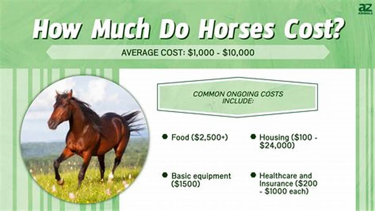Are Horse Prices Coming Down 2024