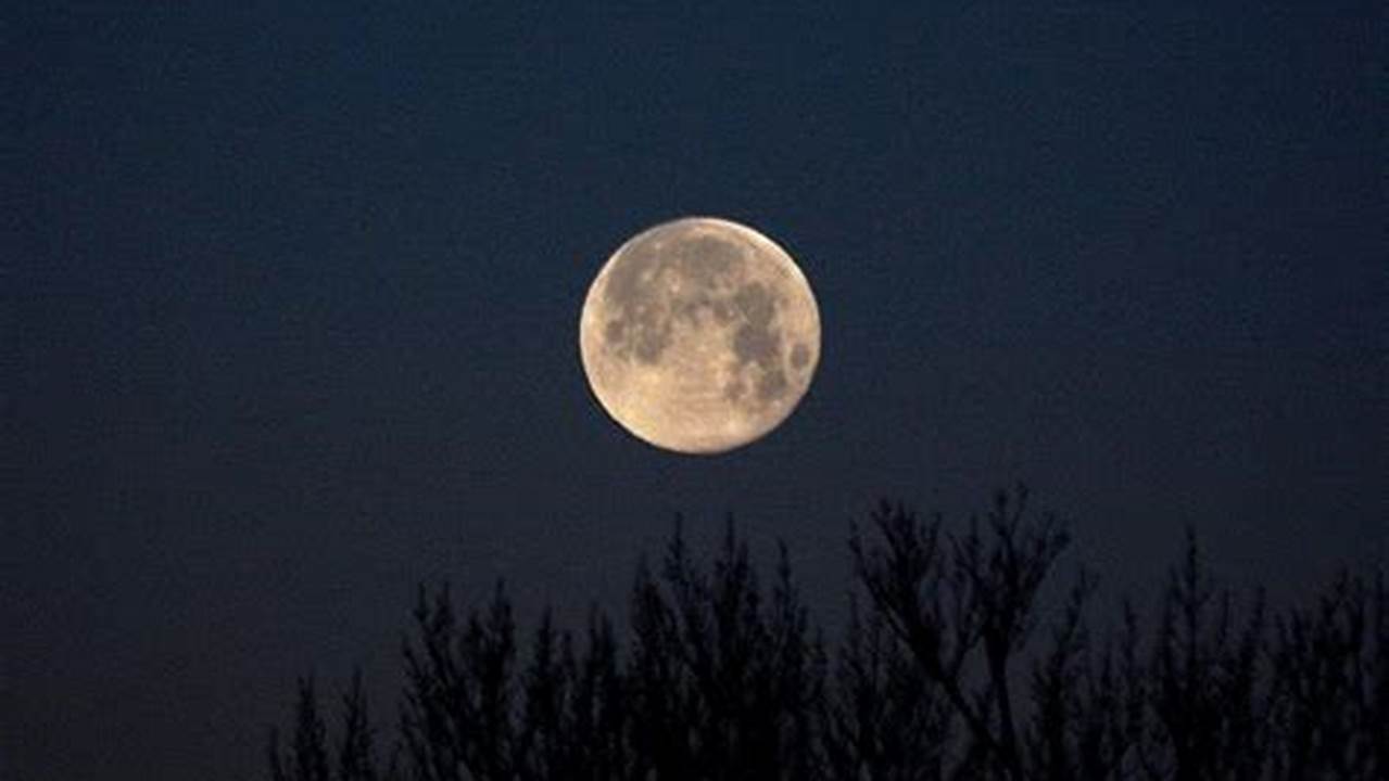 As July’s Full Moon Graces The Night Sky, It., 2024
