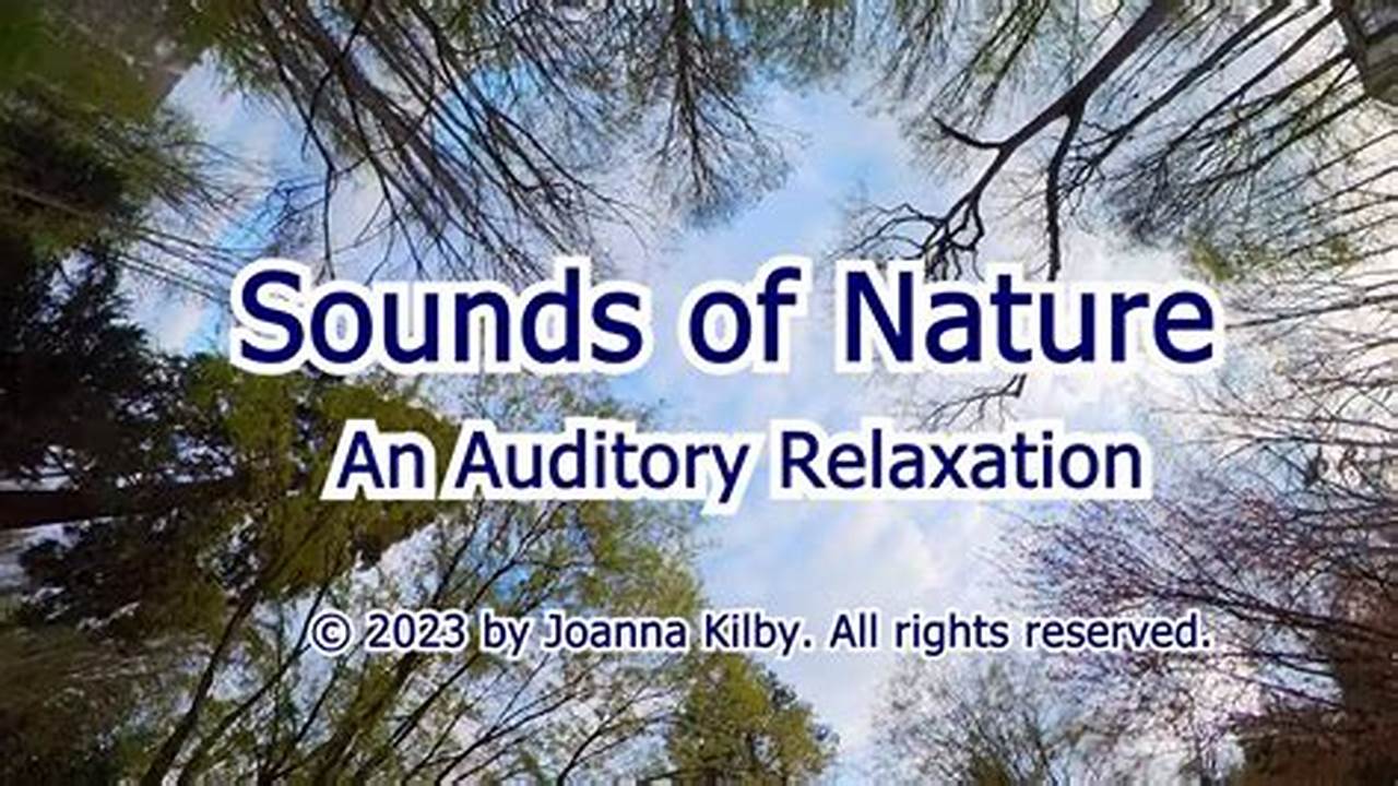 Auditory Relaxation, News