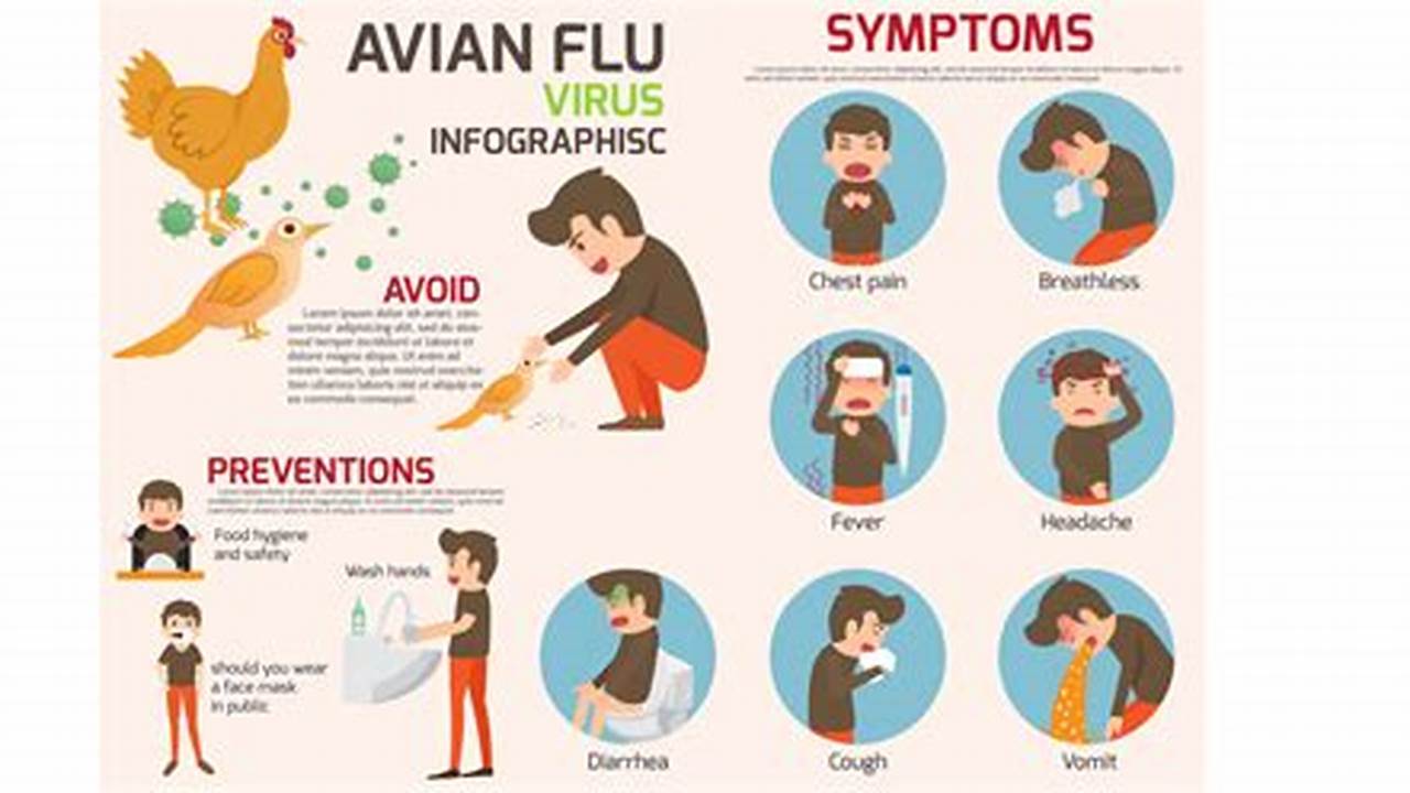 Avian Influenza 2024 Symptoms