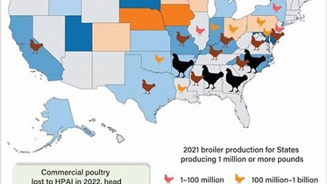 Avian Influenza Map 2024