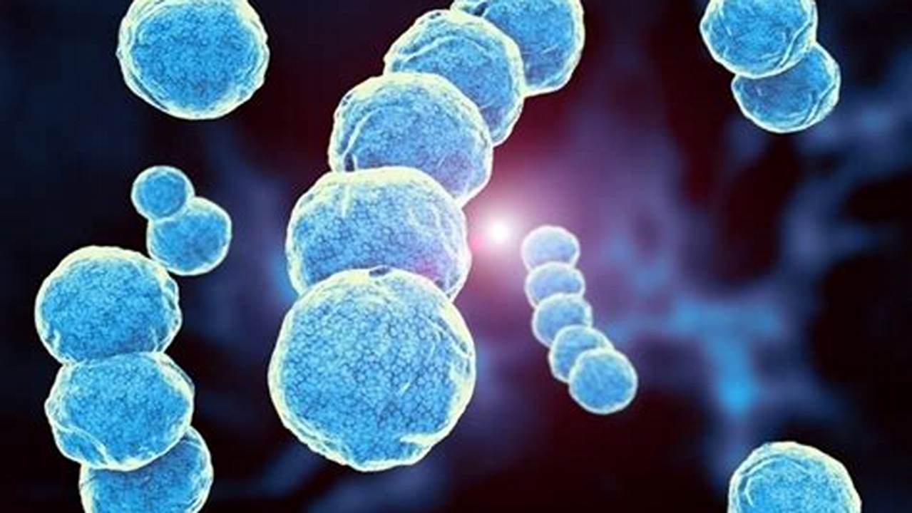 Unveiling the Secrets of Streptococcus: Breakthroughs and Revelations