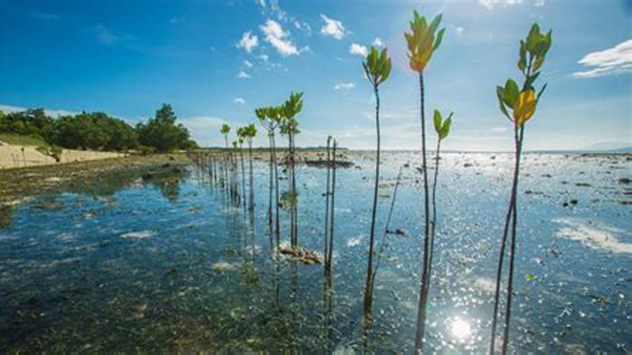 Bagian Dari Cagar Biosfer UNESCO, Danau Terbesar