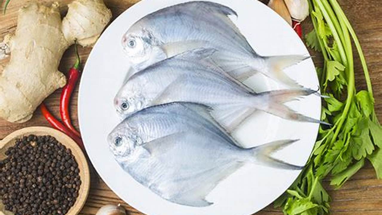 Baik Untuk Kesehatan - Kandungan Nutrisi Yang Tinggi Pada Ikan Bawal Putih Sangat Baik Untuk Menjaga Kesehatan Tubuh., Resep8-10k