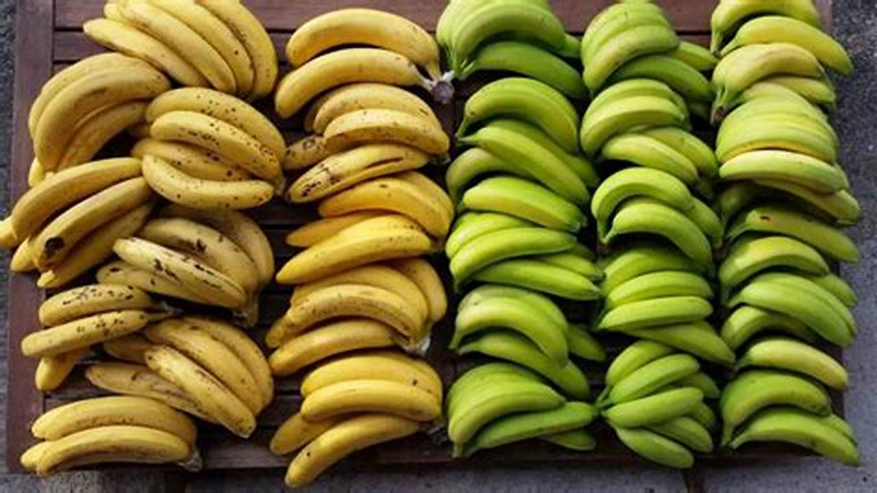 Banana Shortage 2024