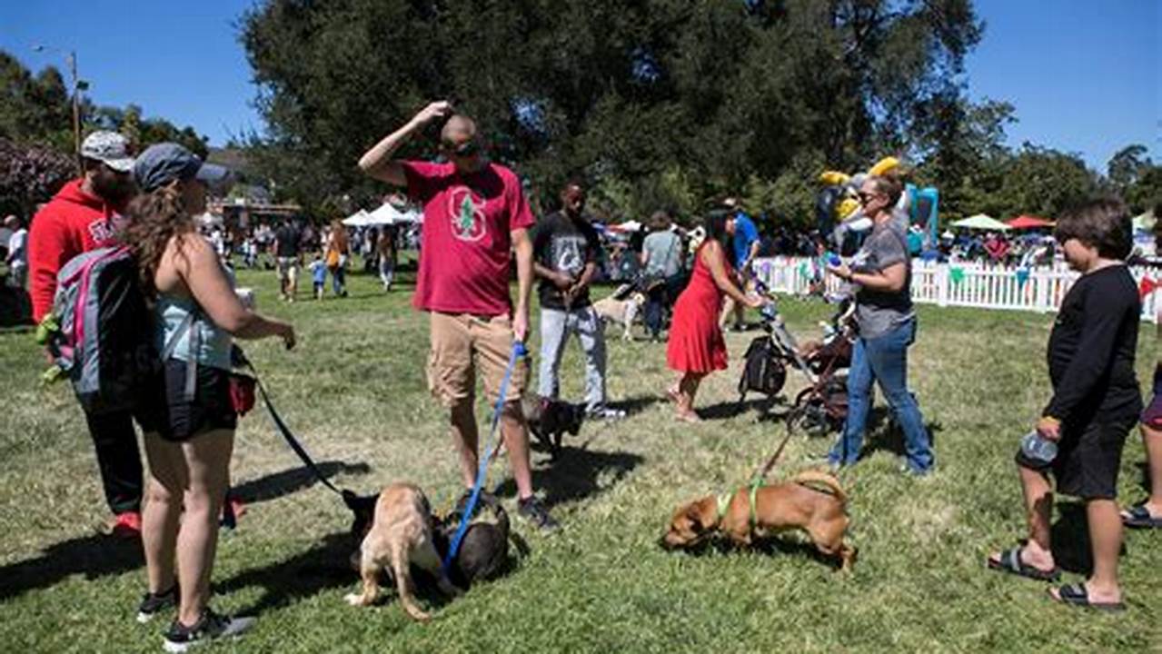 Bark In The Park 2024 Eugene Oregon