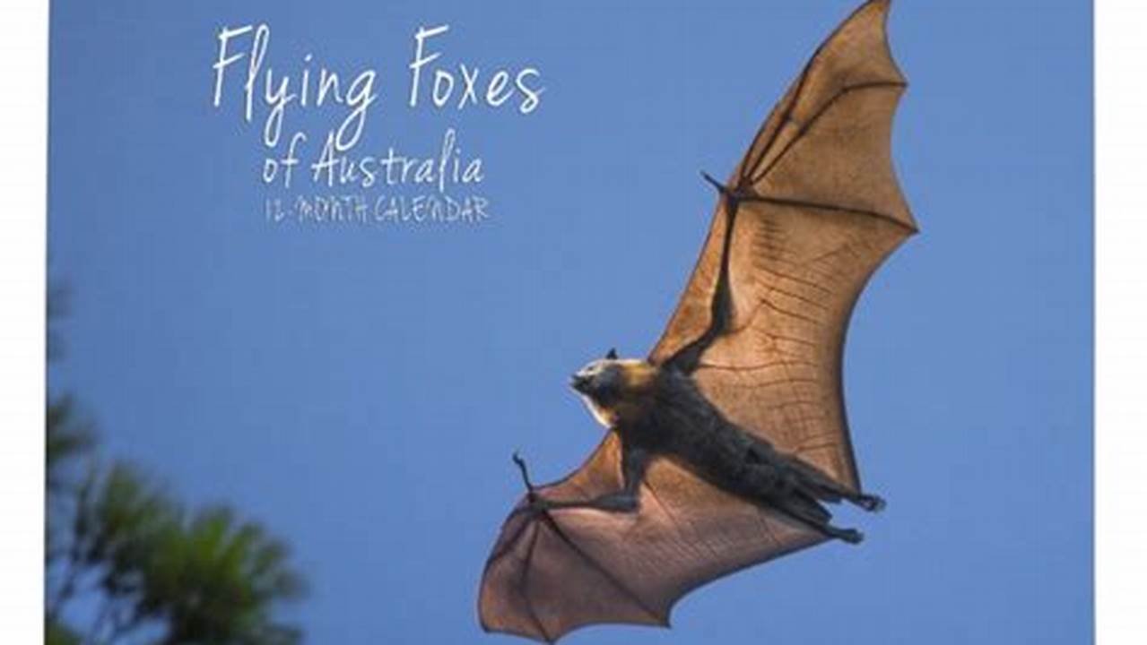 Bat Calendar 2024 Calendar Google