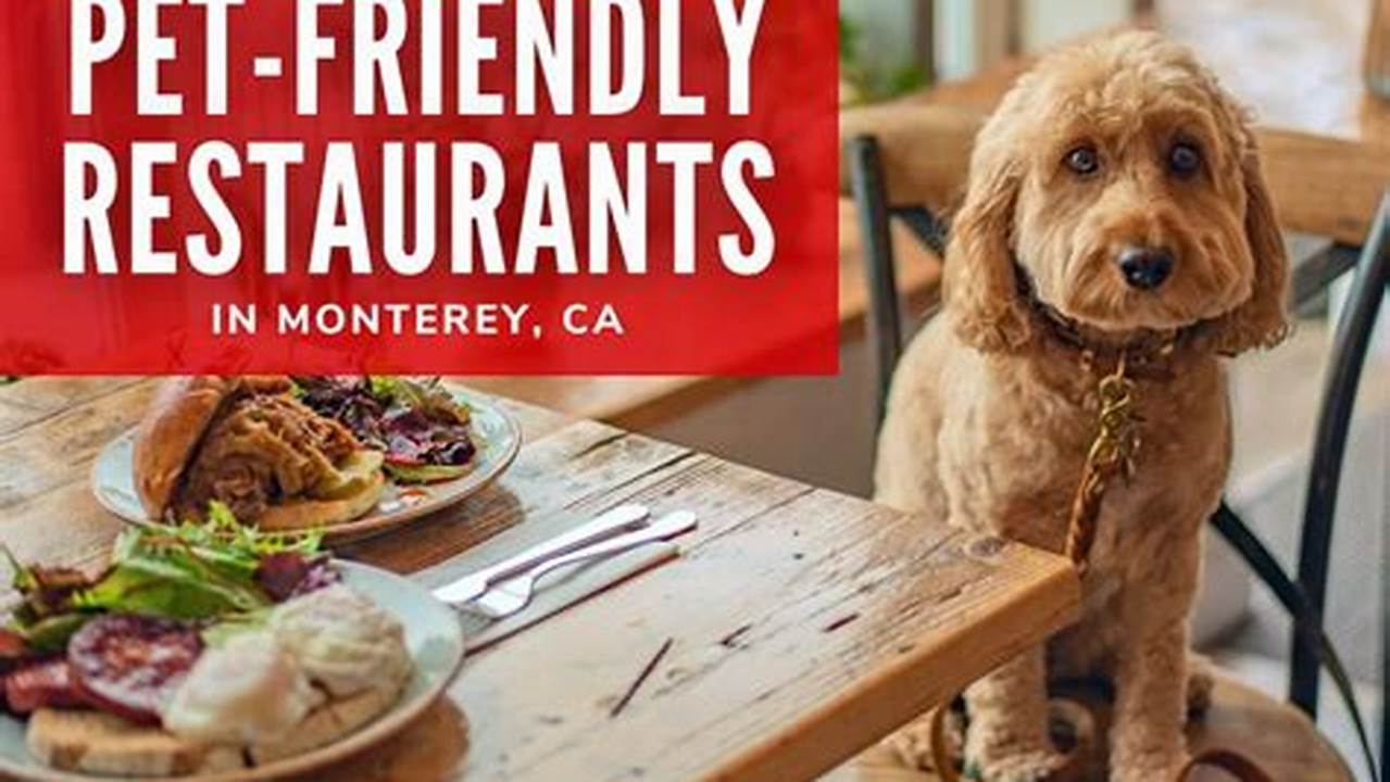 Be Sure To Research Pet-friendly Restaurants And Attractions Before You Go., Pet Friendly Hotel