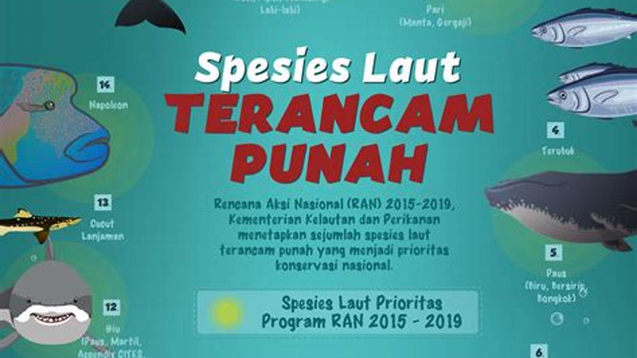 Beberapa Spesies Ikan Dan Reptil Yang Terancam Punah Hidup Di Sungai Ubangi., Sungai Terpanjang