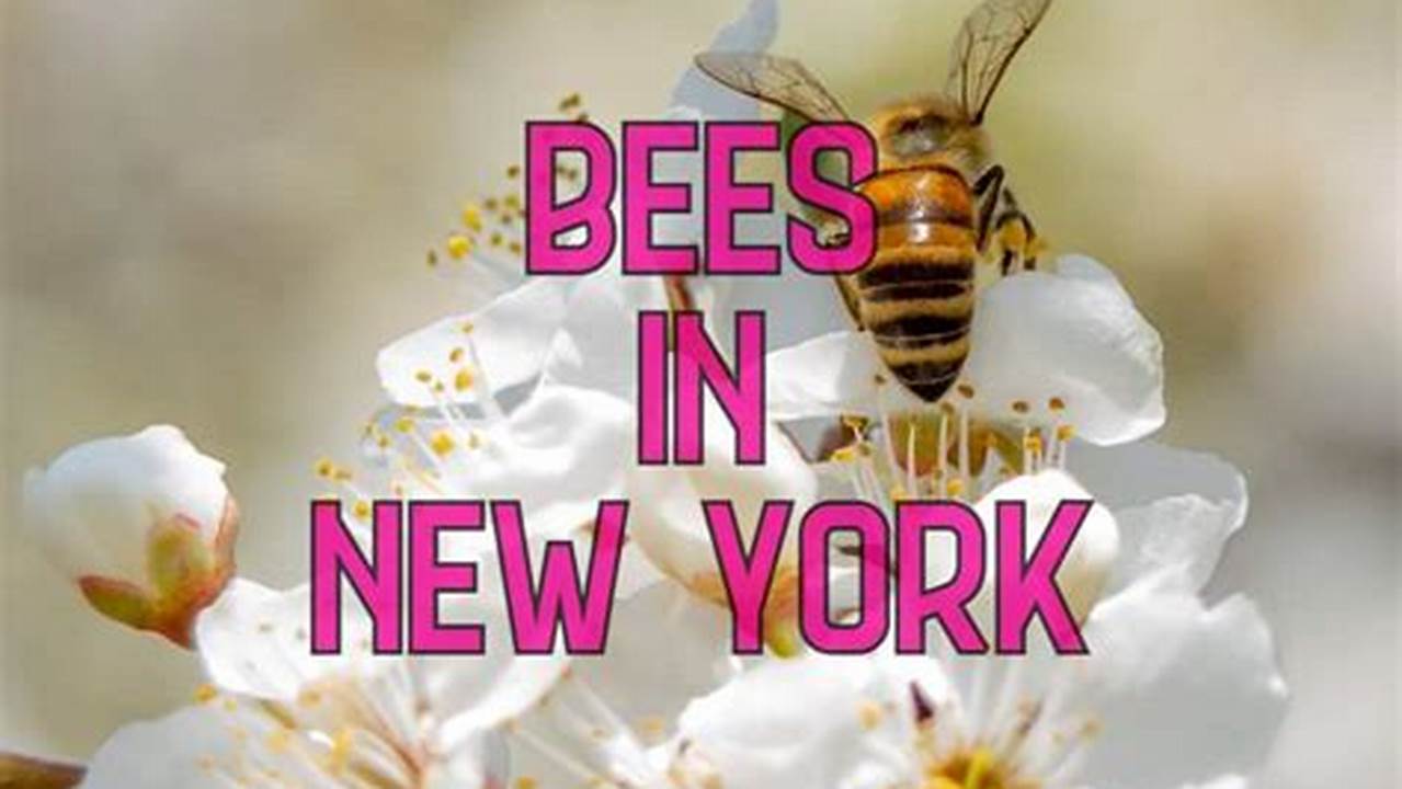 Bees In New York 2024