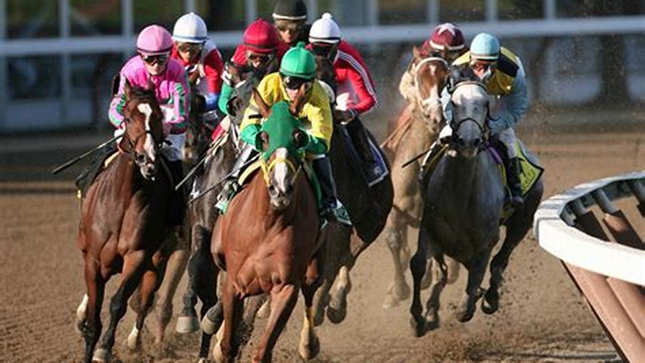 Belmont Stakes 2024 Horses
