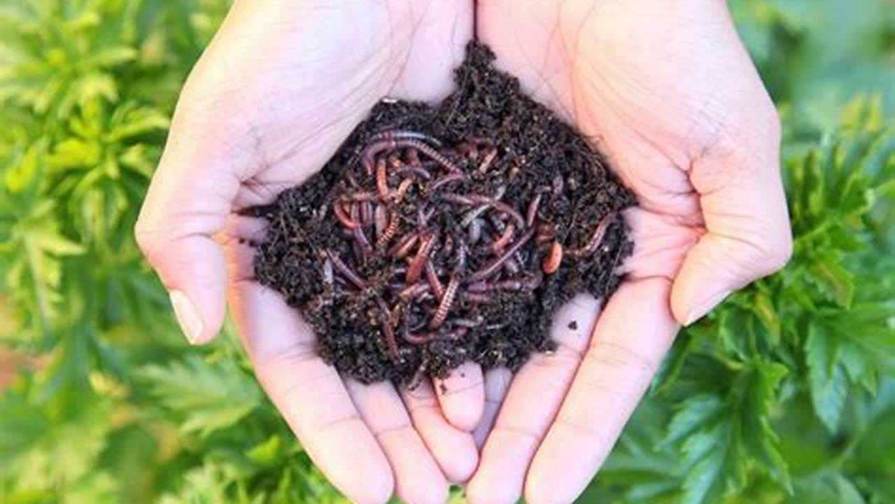 Benefits Of Worm Castings, DIY Farm