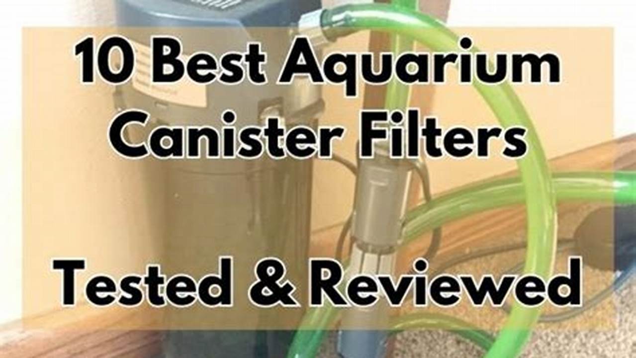 Best Aquarium Canister Filter 2024