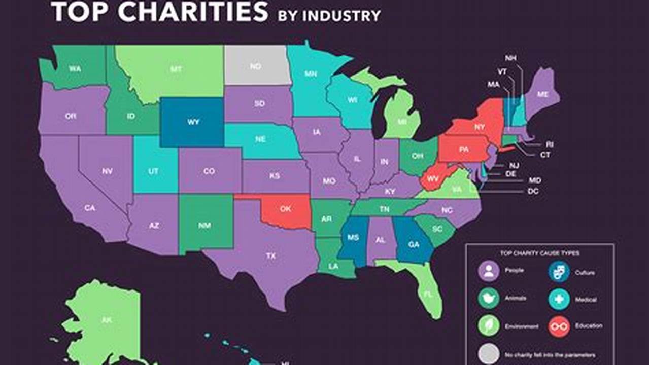Best Charities To Donate To 2024
