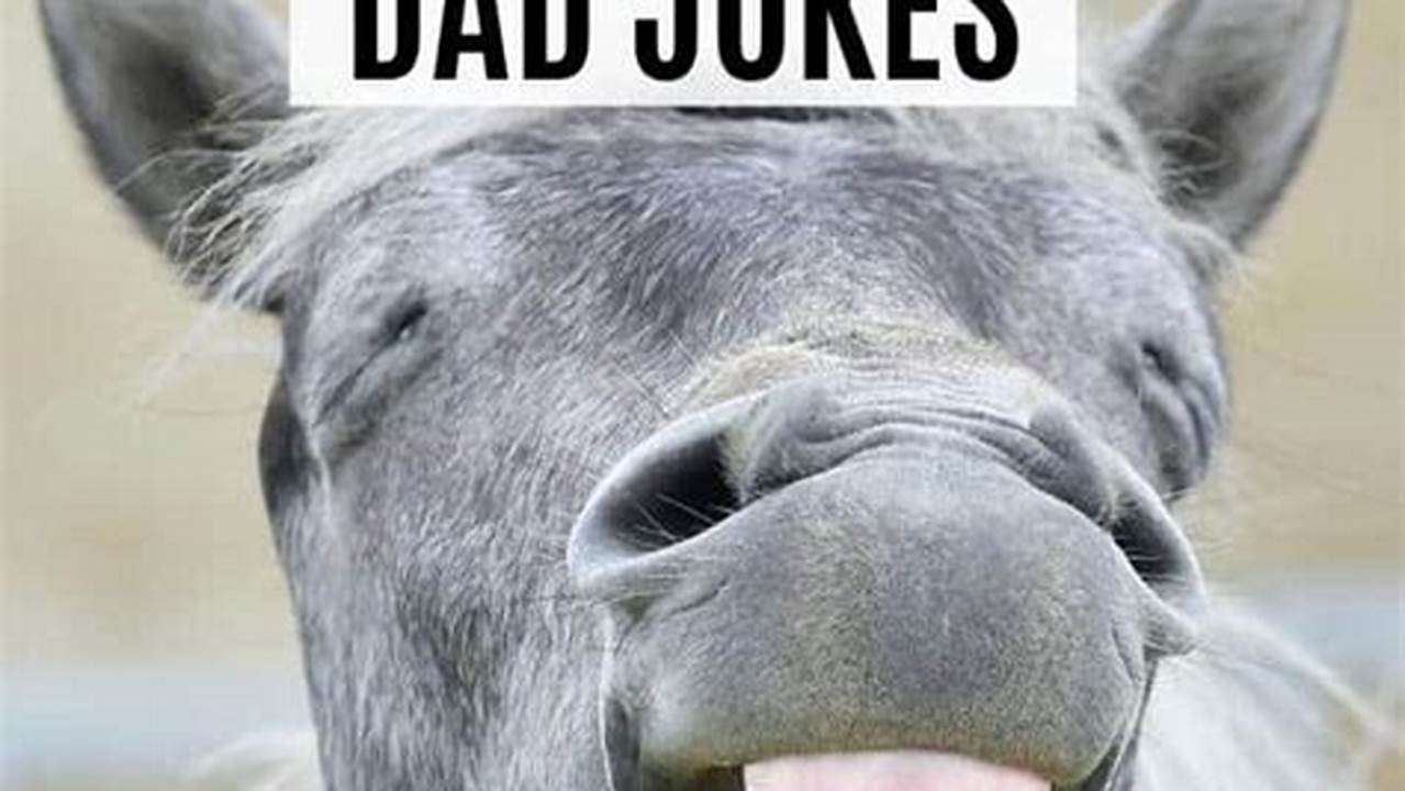 Best Dad Jokes Ever 2024