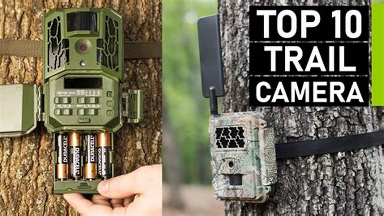 Best Game Cameras 2024